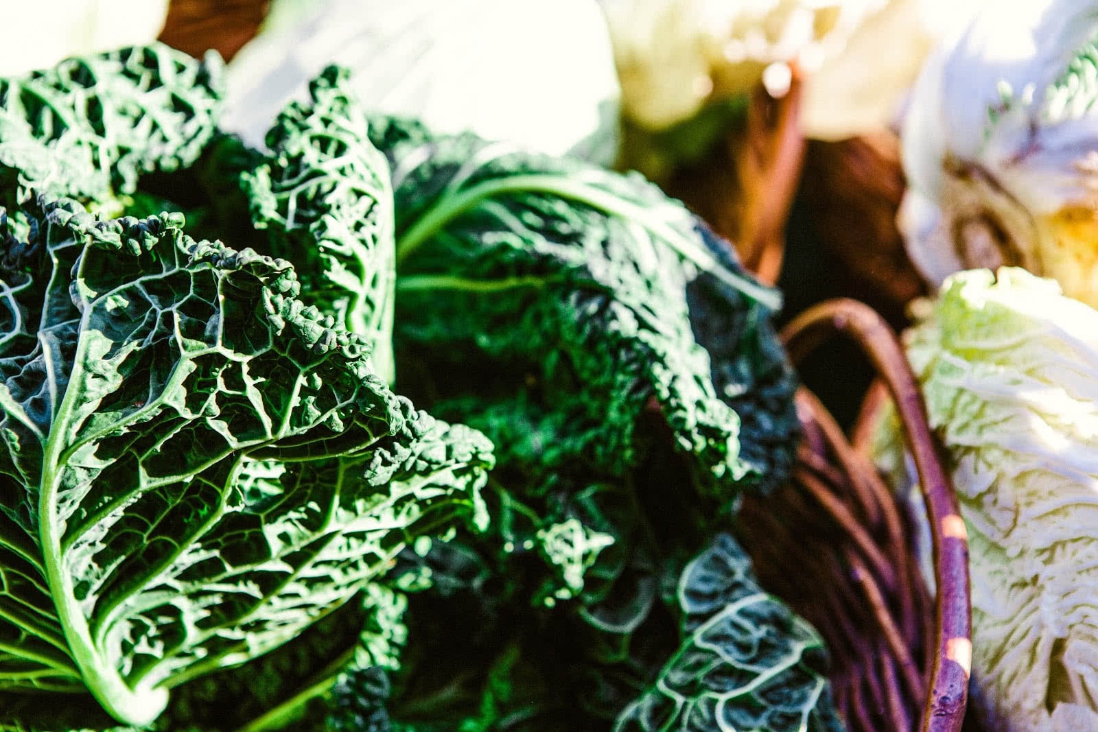Image of bright-cabbage-close