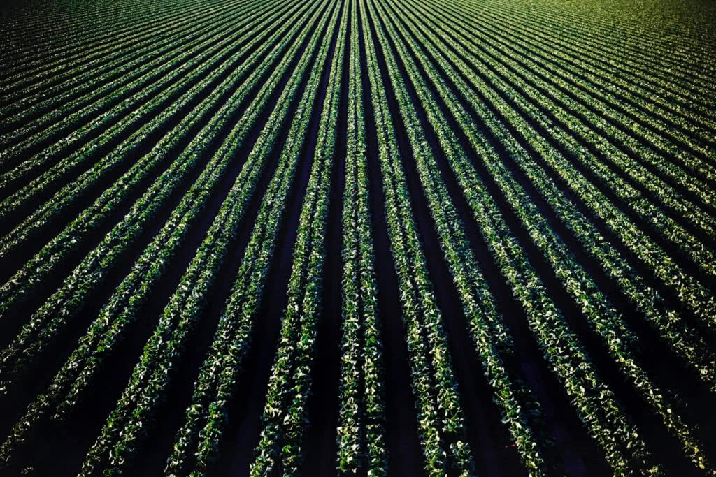 We now are surrounded by a massive environmental increase in neurotoxins like never before in our history. This level of toxins has created sickness at a cellular level. These toxins are new to our human race and increasing daily. They are shutting down our natural cellular detox pathways and changing our DNA to express disease and many unwanted symptoms such as Chronic Fatigue, Fibromyalgia, Thyroid dysfunction, Auto-immune conditions, Alzheimer’s, Autism and Cancer.