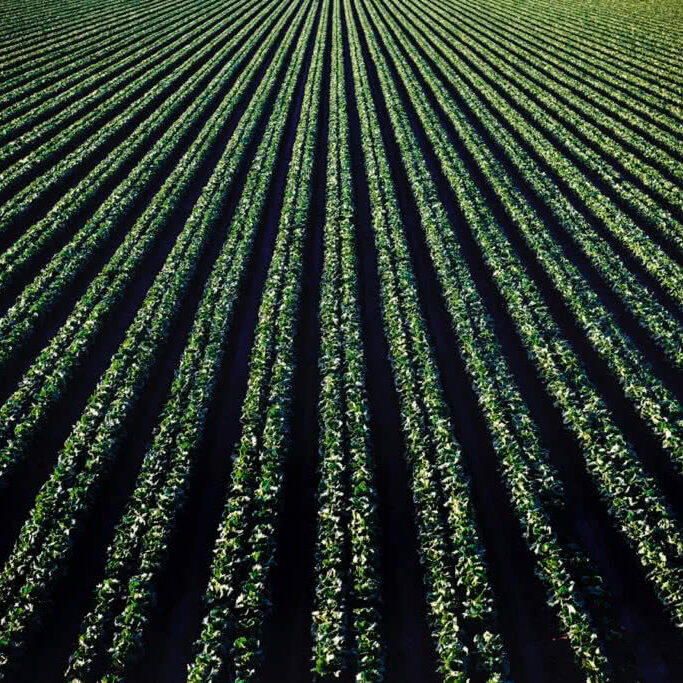 We now are surrounded by a massive environmental increase in neurotoxins like never before in our history. This level of toxins has created sickness at a cellular level. These toxins are new to our human race and increasing daily. They are shutting down our natural cellular detox pathways and changing our DNA to express disease and many unwanted symptoms such as Chronic Fatigue, Fibromyalgia, Thyroid dysfunction, Auto-immune conditions, Alzheimer’s, Autism and Cancer.